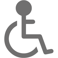 Accessibile ai disabili